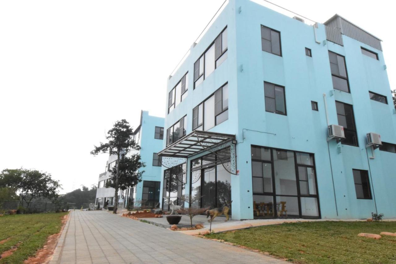 巨缿民宿巨象民宿 Sanyi Exterior foto